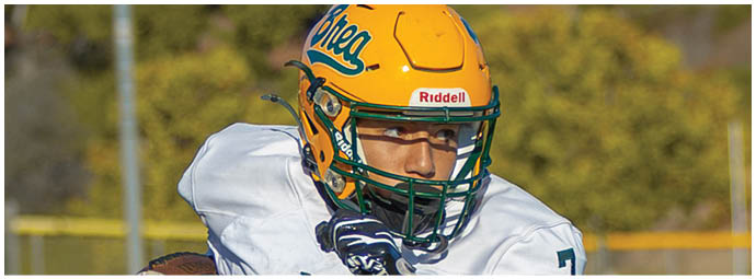 A football player wearing a blue and white uniform. Description generated by AI