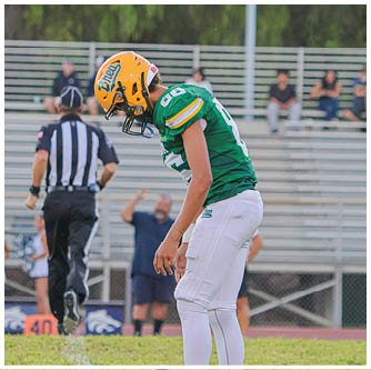 A football player running on the field. Description generated by AI