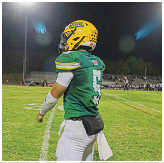 A football player running on the field. Description generated by AI