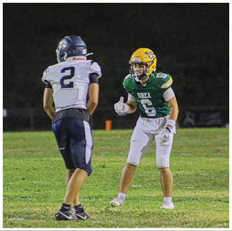 A football player running on the field. Description generated by AI