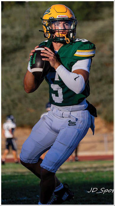 A football player running on the field. Description generated by AI