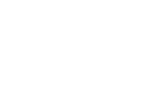 the wildcat Siena Codekas