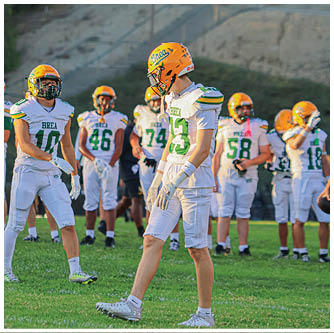 A football player running on the field. Description generated by AI
