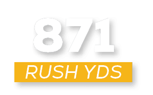 RUSH YDS,87