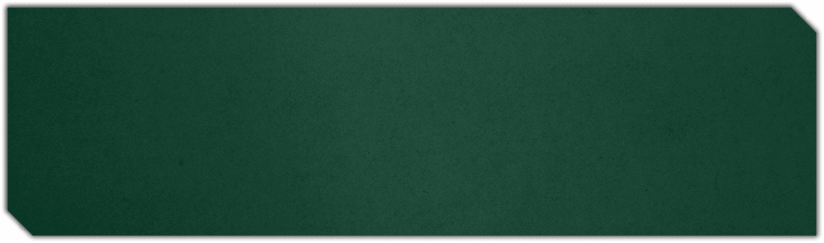 A stadium with a field and a few people in the stands. Description generated by AI