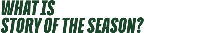 What is Story of the Season?