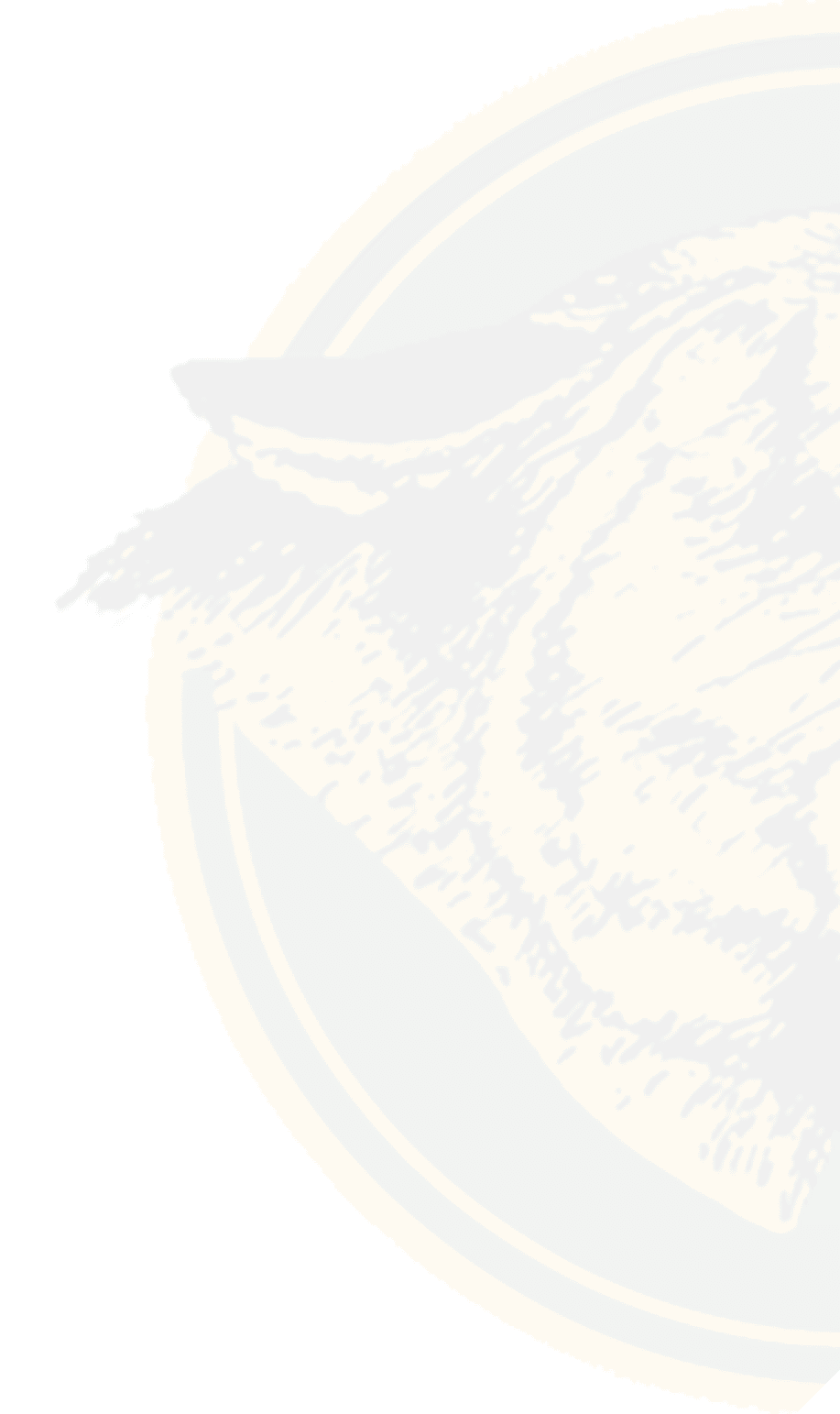 A logo for Dons football. Description generated by AI