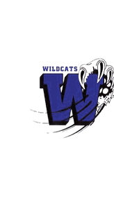 A blue and white logo for Valor. Description generated by AI