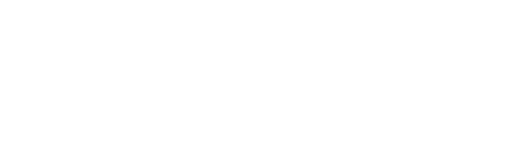 2026 – 2027 Lancerette Roster 