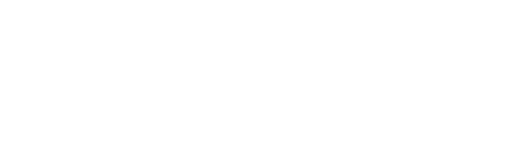 2026 – 2027 Lancerette Roster 
