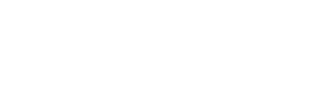 2026 – 2027 Lancerette Roster 