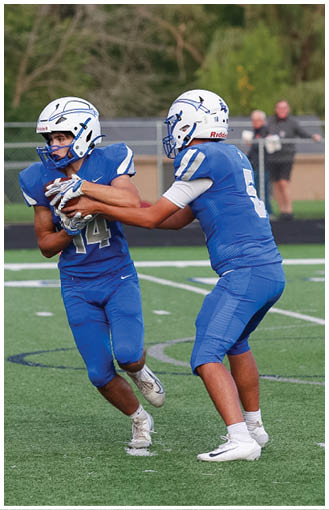 Two people in blue football uniforms and helmets are on a football field with a goalpost and trees in the background. Description generated by AI