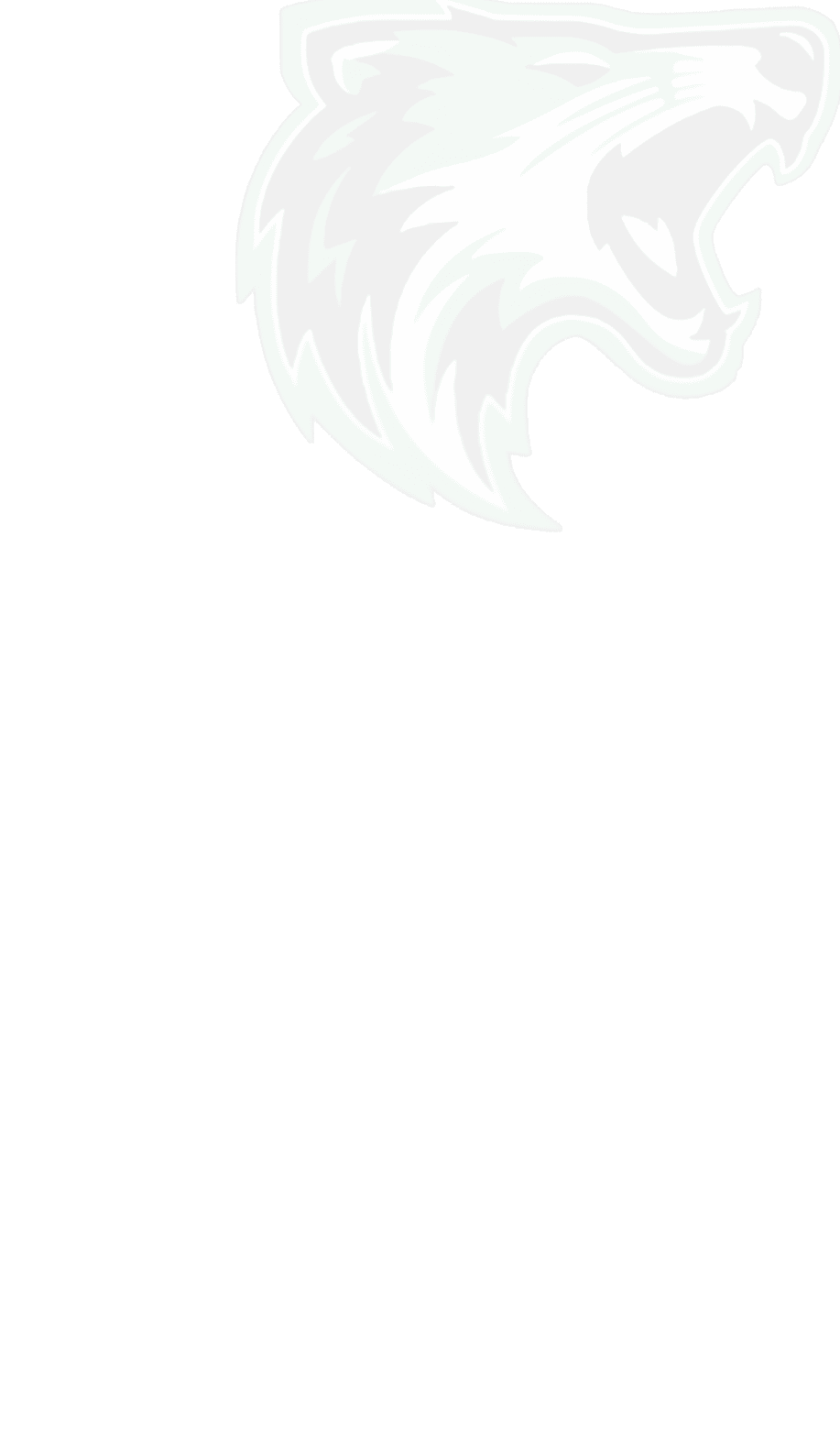 A logo for Dons football. Description generated by AI
