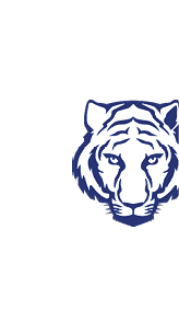 A stylized blue and white tiger head facing forward with detailed stripes and intense eyes. Descripci n generada con IA