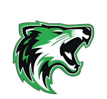 A person stands facing forward wearing a white and green football uniform with the number 55 and the words Caddo Hills on the jersey. Descripci n generada con IA