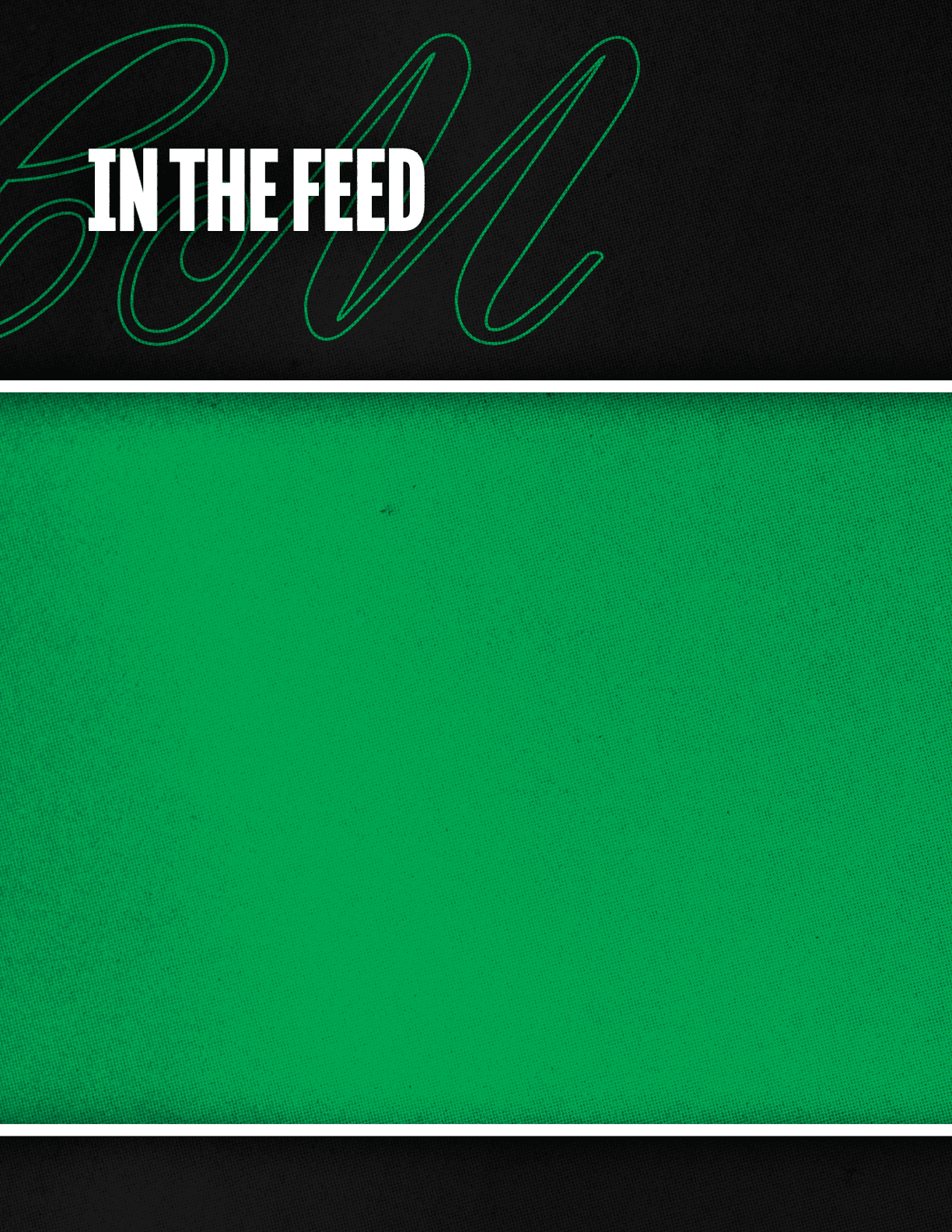 The image features the text “IN THE FEED" in bold white letters on a black background with a green cursive design behind it, above a solid green textured area. Descripci n generada con IA