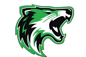 A close-up of a stylized green and white graphic with sharp, curved lines and a hint of black. Descripci n generada con IA