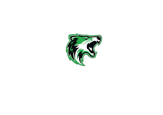 A stylized roaring tiger head logo in green, black, and white with sharp, angular features. Descripci n generada con IA