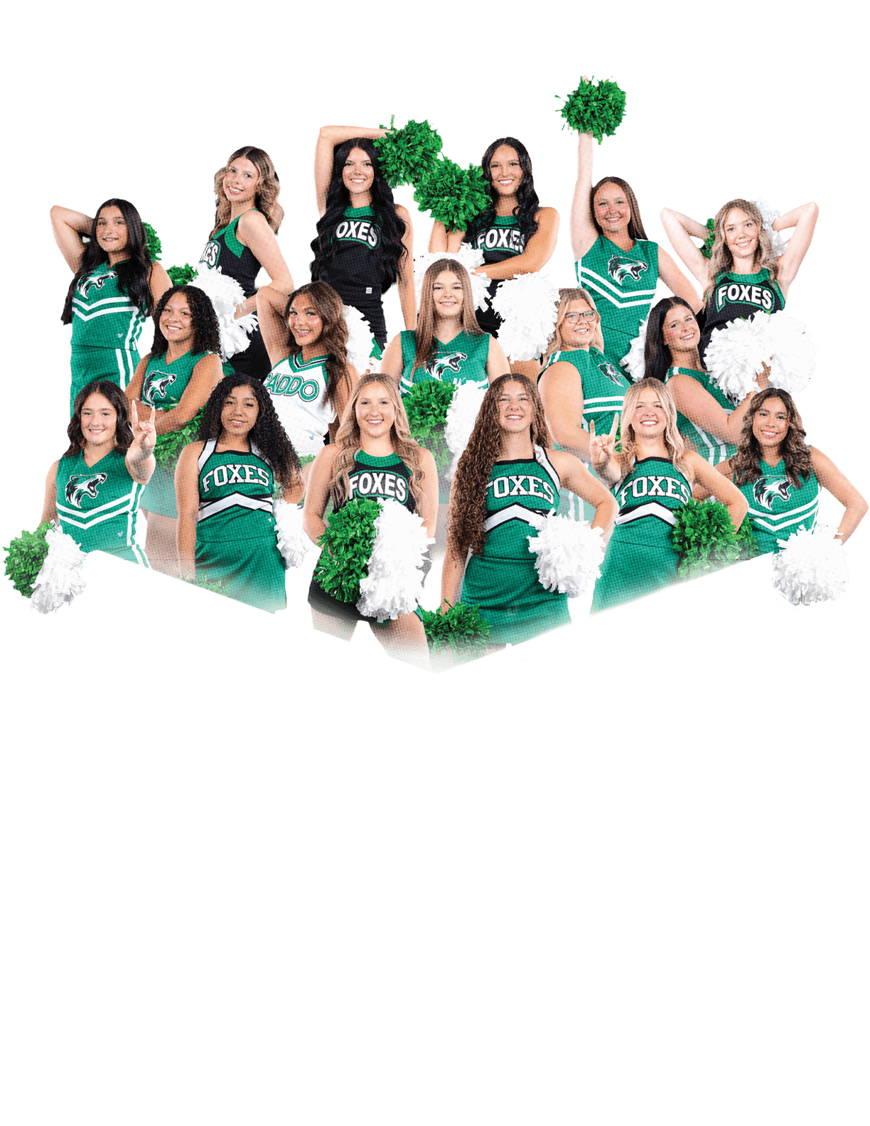A group of people dressed in green and black cheerleading uniforms holding green and white pom-poms pose together against a black background. Descripci n generada con IA