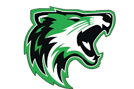 A close-up of a stylized green and white graphic with sharp, curved lines and a hint of black. Descripci n generada con IA