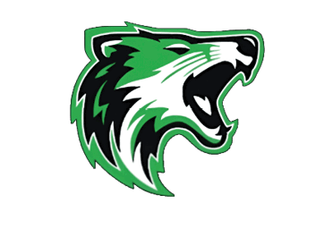 A stylized roaring tiger head logo in green, black, and white with sharp, angular features. Descripci n generada con IA