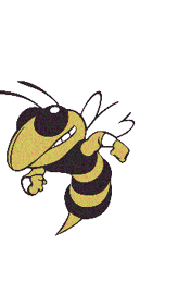 A cartoon bee with a determined expression is flying forward with clenched fists and wearing white wristbands. Description generated by AI