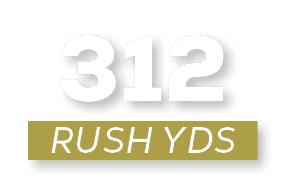 RUSH YDS,31