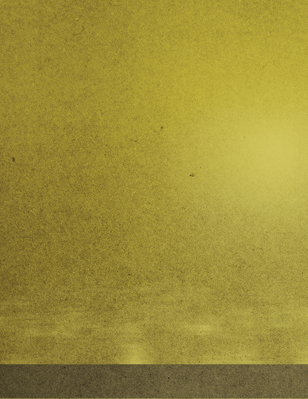 A close-up view of a textured yellow fabric with a subtle gradient and small dark specks scattered across the surface. Description generated by AI