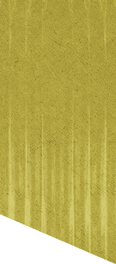A green and white patterned background. Description generated by AI