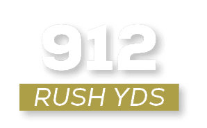 RUSH YDS,91