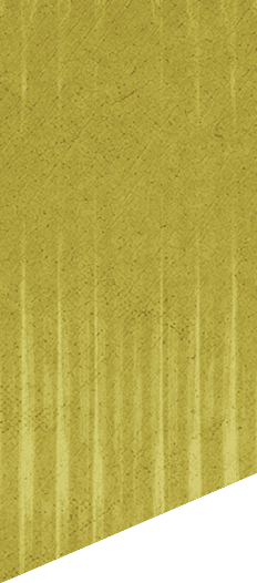A green and white patterned background. Description generated by AI