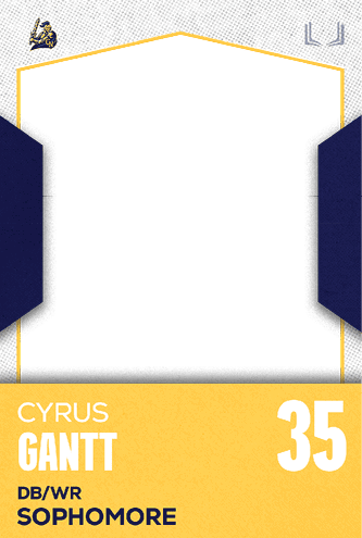 A football jersey with the number 33 on the back. Description generated by AI