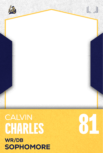 A football jersey with the number 51 on it. Description generated by AI