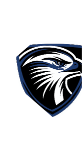 A blue and white logo for Valor. Description generated by AI