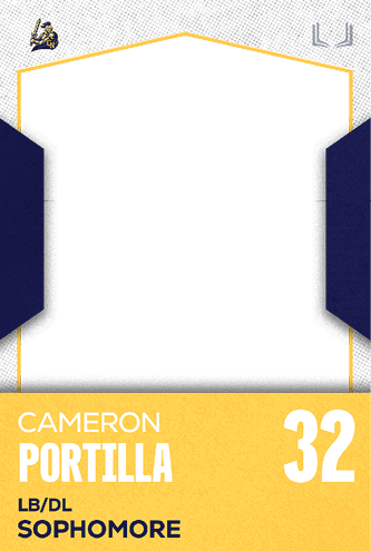 A football jersey with the number 30 on the back. Description generated by AI