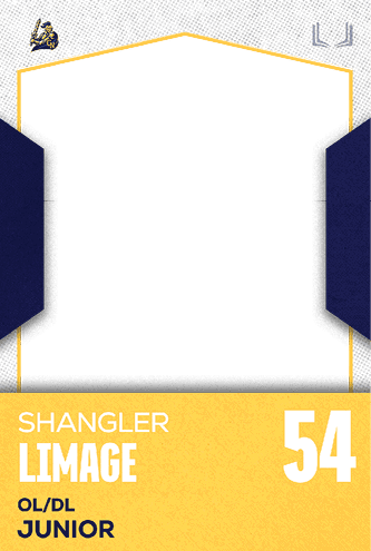 A football jersey with the number 43 on it. Description generated by AI