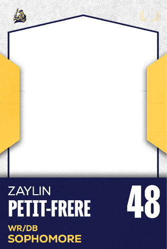 A football jersey with the number 29 on it. Description generated by AI