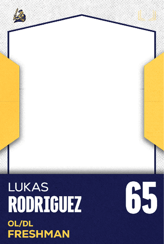 A football jersey with the number 36 on the back. Description generated by AI