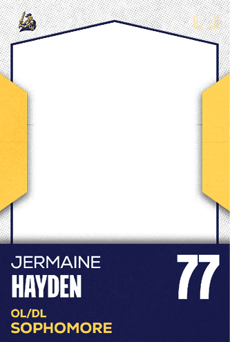 A football jersey with the number 44 on it. Description generated by AI
