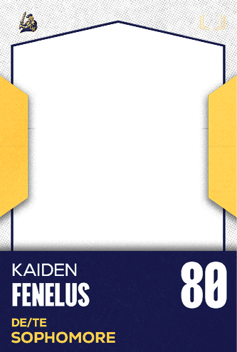 A football jersey with the number 41 on it. Description generated by AI