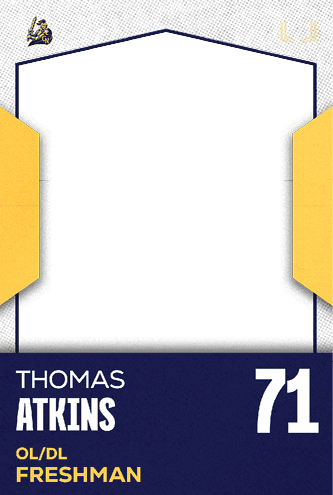 A football jersey with the number 39 on the back. Description generated by AI
