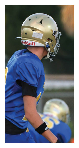 A man in a green shirt and black pants is preparing to throw a football. AI generated content