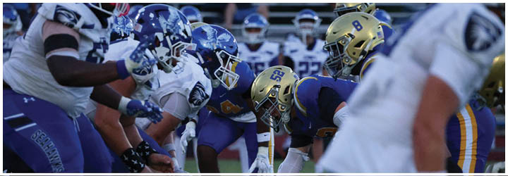 A group of football players on a field. Description generated by AI