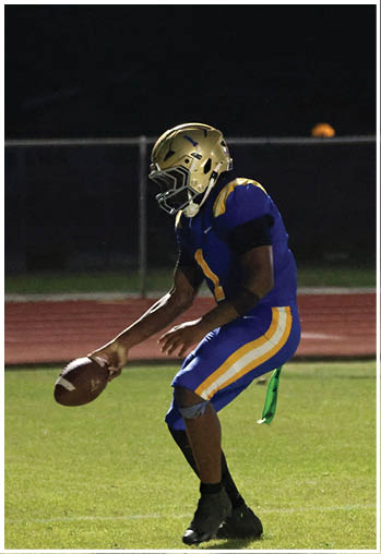 A football player running on the field. Description generated by AI