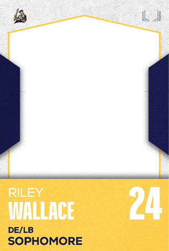 A football jersey with the number 25 on the back. Description generated by AI