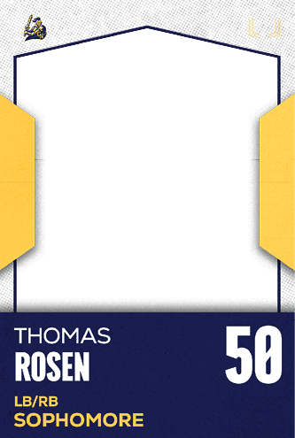 A football jersey with the number 30 on the back. Description generated by AI