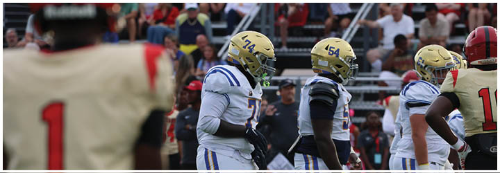 A group of football players on a field. Description generated by AI