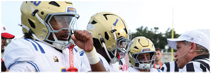 A group of football players on a field. Description generated by AI
