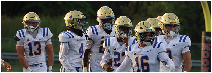 A group of football players on a field. Description generated by AI