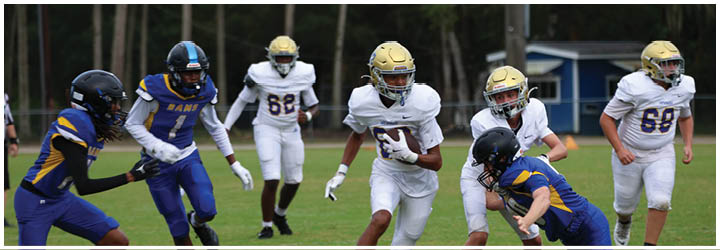 A group of football players on a field. Description generated by AI
